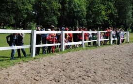 dzc_rr_2905201162