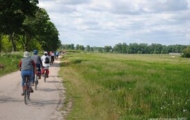 dzc_rr_2905201159