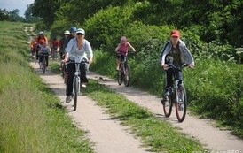 dzc_rr_2905201158