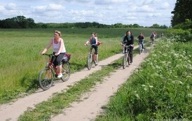 dzc_rr_2905201156