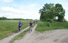 dzc_rr_2905201150