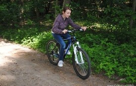 dzc_rr_2905201139