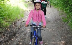 dzc_rr_2905201130