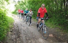 dzc_rr_2905201128
