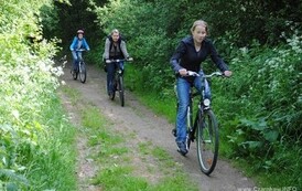 dzc_rr_2905201125
