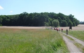rrr0406201128