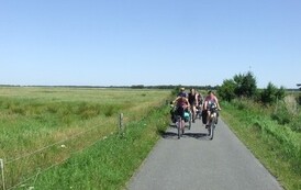 rg0707201141