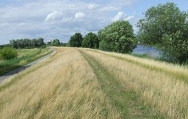 rg0707201117