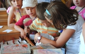 iw1407201114