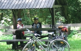 rc0608201108