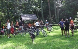 rc0608201107