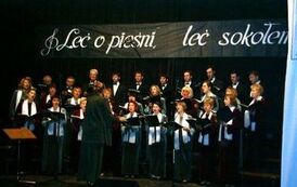 koncert_chory_200520