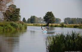 rrr0309201172