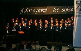 koncert_chory_200501
