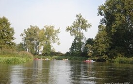 rrr0309201107