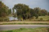rrr0810201139_