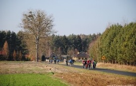 mr1111201131