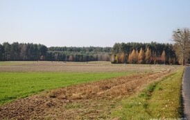 mr1111201130
