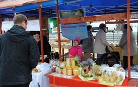 at1504201215