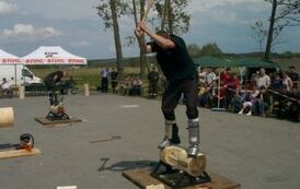 dzc200544