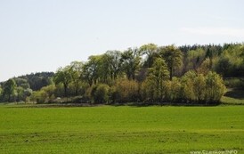 rrr2804201241