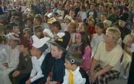 dzc200528