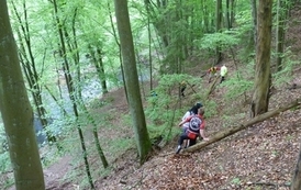 sk1305201237