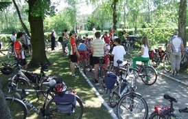 nk2005201233