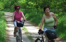 nk2005201206