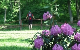 nk2005201203