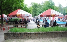 dzc_psp_0306201225