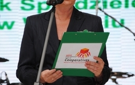 dzc_psp_0306201211
