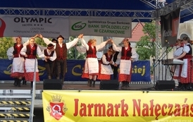 dzc_jn_0206201208