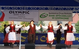 dzc_jn_0206201207