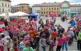dzc_bdd_0106201208
