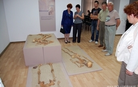 dzc_sw_3105201204