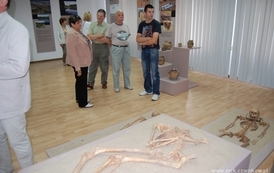 dzc_sw_3105201202