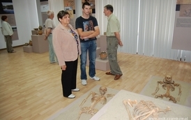 dzc_sw_3105201201