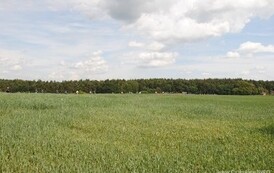 rrr0906201249