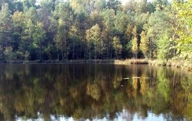 rrr0810200509