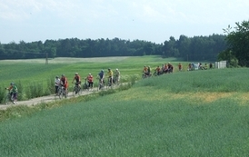 sg1706201244