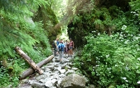 st10072012125