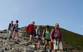 st1007201291