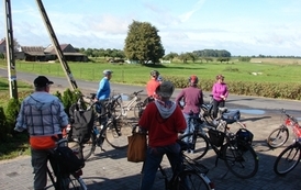 rrr08092012(2)11