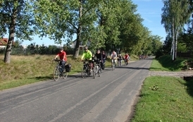 rrr08092012(2)06