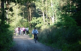 rrr08092012(2)04