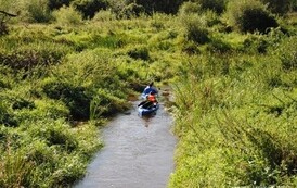 rrr0809201222
