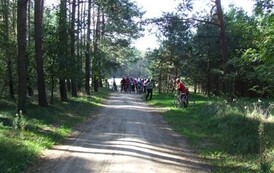 rrr2909201241