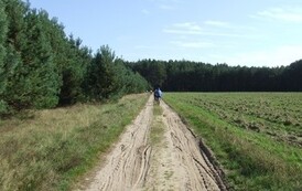 rrr2909201240