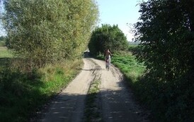rrr2909201211